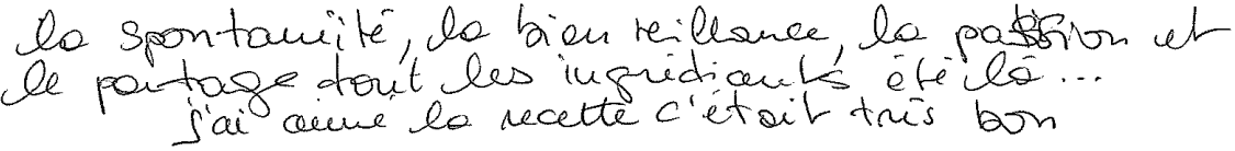 Avis manuscrit rempli à l’issue du stage