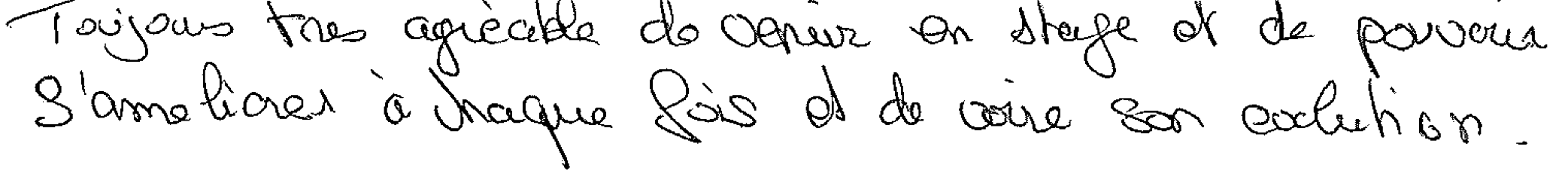 Avis manuscrit rempli à l’issue du stage