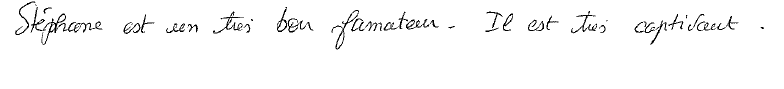 Avis manuscrit rempli à l’issue du stage