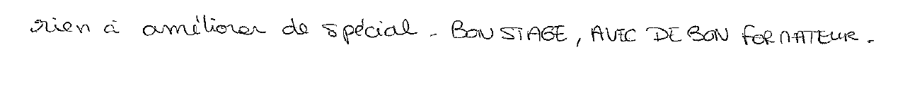 Avis manuscrit rempli à l’issue du stage