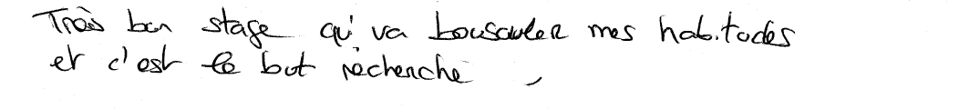 Avis manuscrit rempli à l’issue du stage