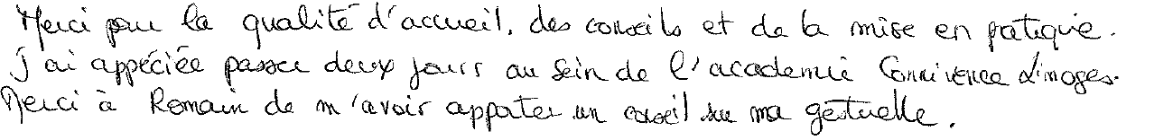 Avis manuscrit rempli à l’issue du stage