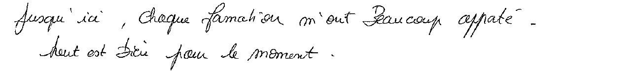 Avis manuscrit rempli à l’issue du stage