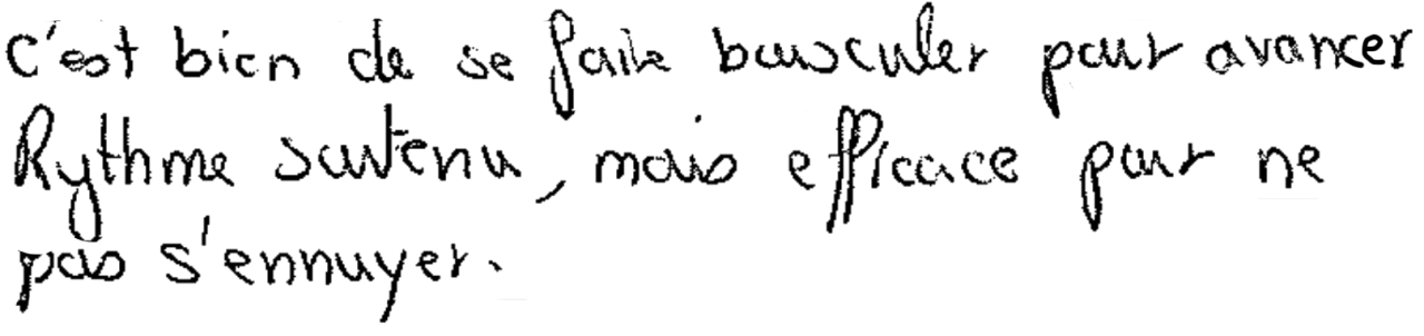 Avis manuscrit rempli à l’issue du stage